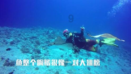三色变形小怪